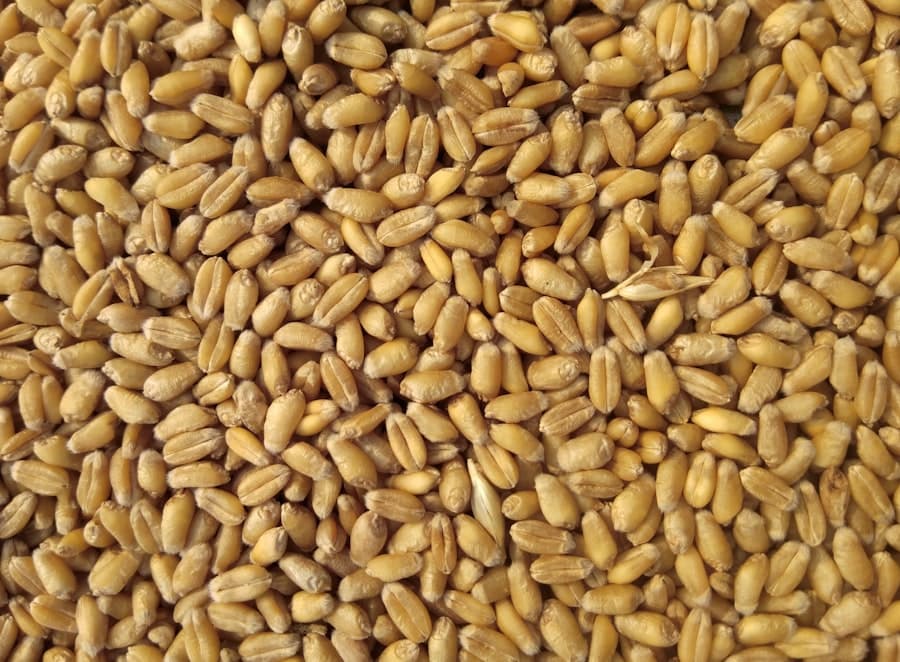 Maize Flour 2kg gallery 4