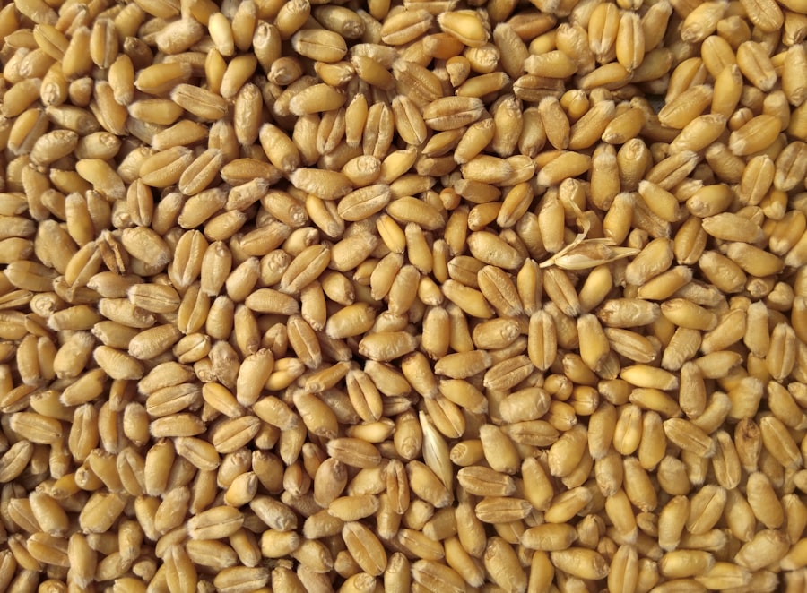 Maize Flour 2kg gallery 4